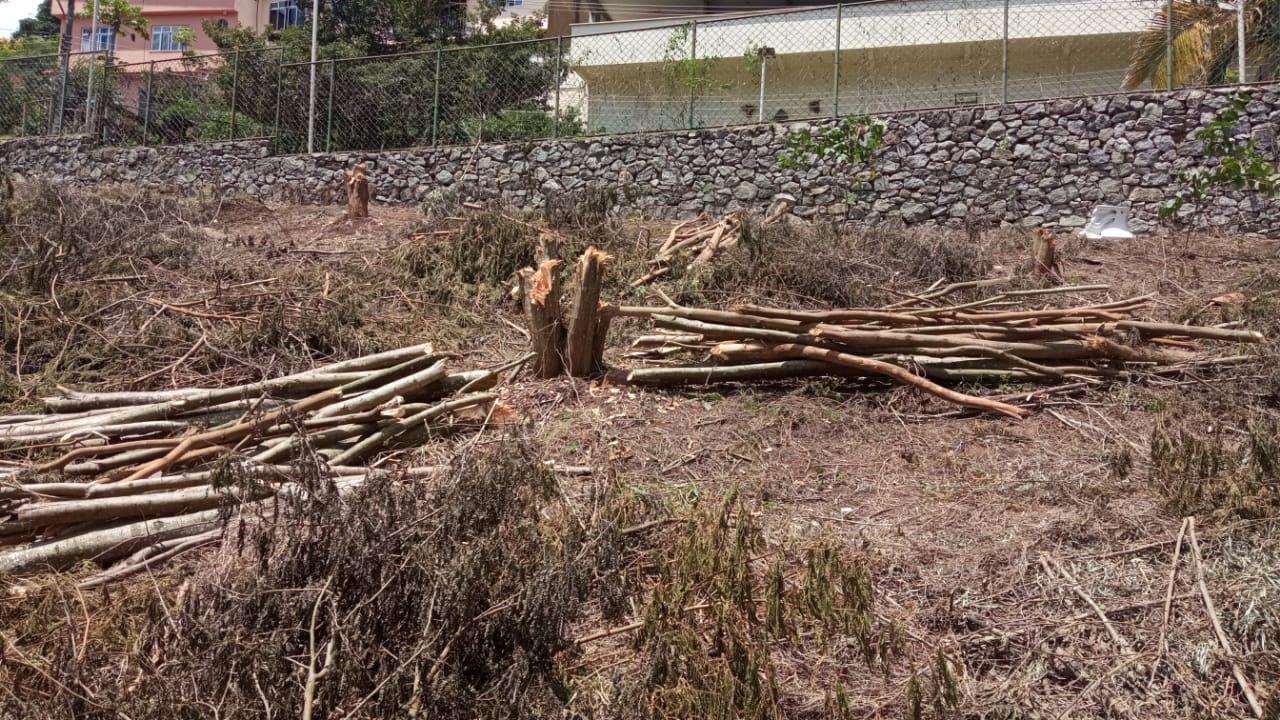 Denúncia leva polícia ambiental a identificar desmatamento com mil metros quadrados de área degradada em Nova Friburgo 